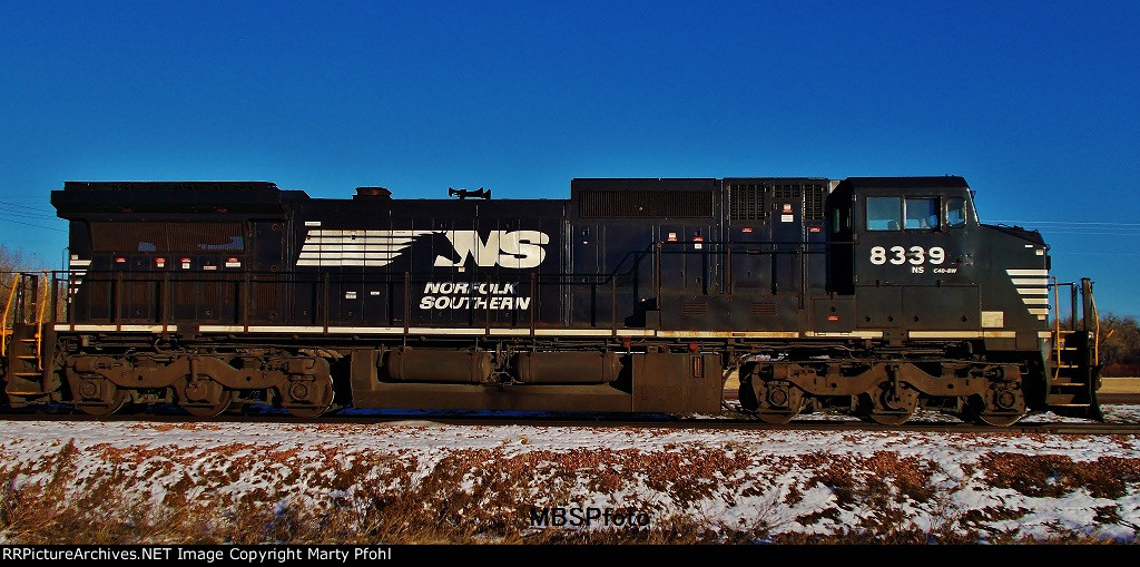 Not the Place You'd expect to find a Thoroughbred!